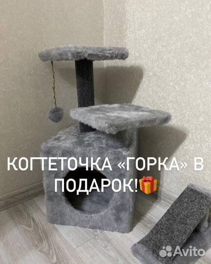 Когтеточка новая/лежанка/комплекс