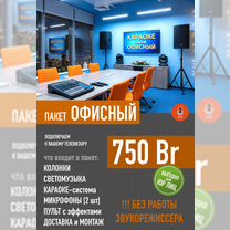 Выездное караоке в Борисове, Борисов