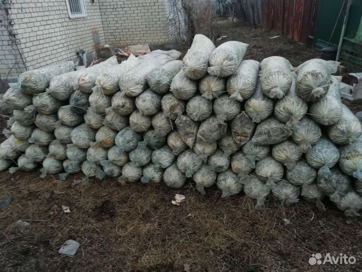 Грибные блоки