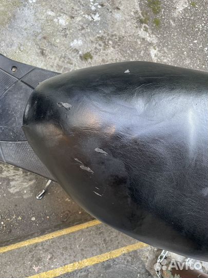 Suzuki inch up sport