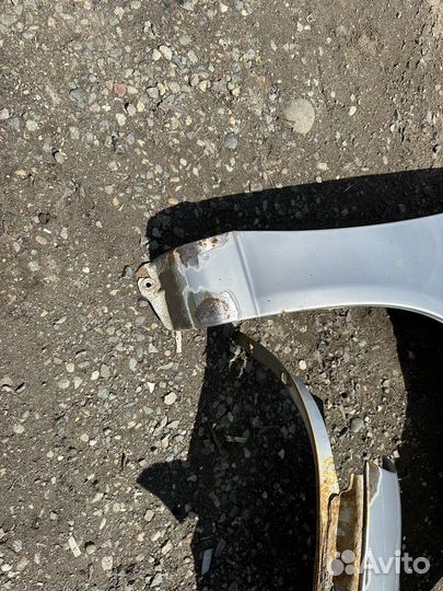 Крылья калина передние