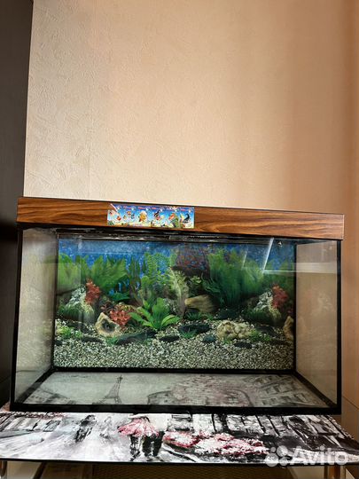 Аквариум