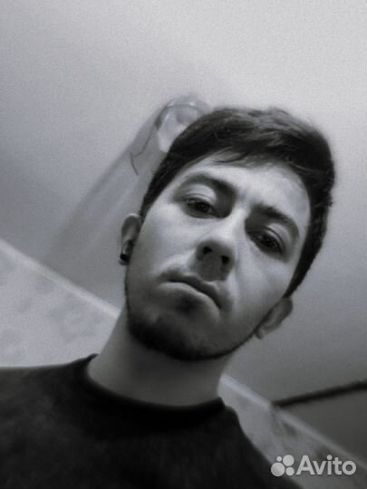 Работник в приют бездомных животных