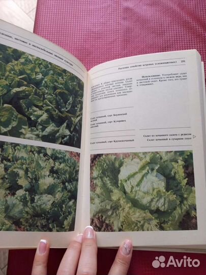 Энциклопедия Овощные культуры