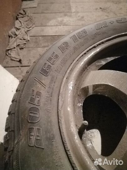 Gislaved Nord Frost 5 205/65 R15 94Q