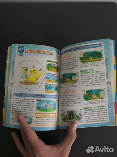 Книга Pokemon Black and White
