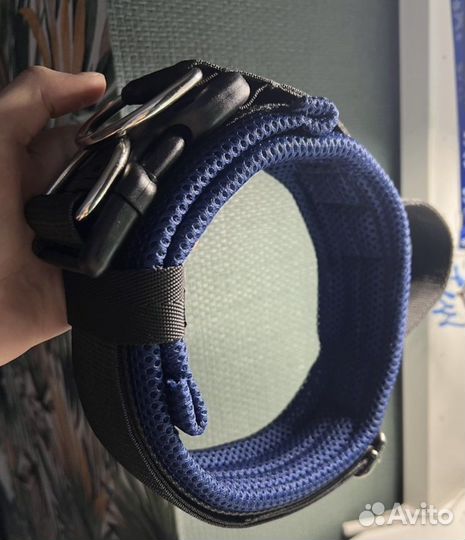 Ошейник для собак