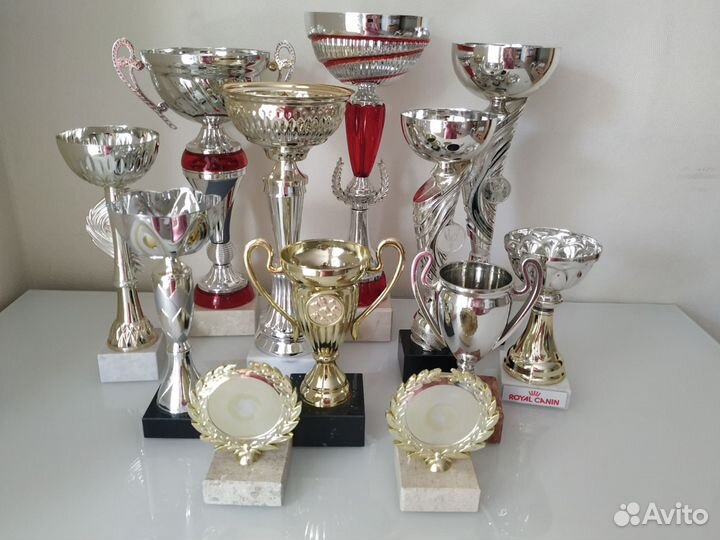 Кубки наградные