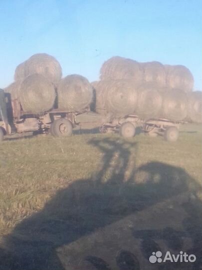 Сено в рулонах 2023 350 кг
