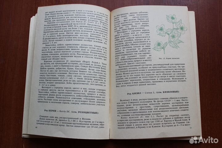 Деревья и кустарники для любительского садоводства