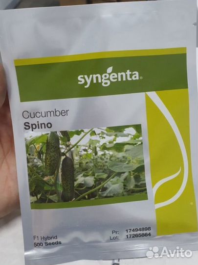 Семена Syngenta капуста картофель томат арбуз