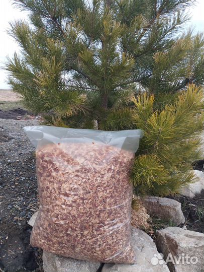 Древесная Щепа мульча Лиственницы