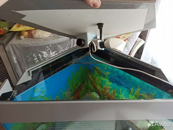 Аквариум