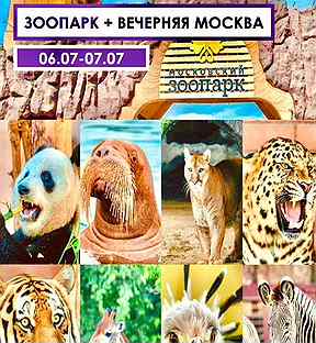 Зоопарк+вечерняя Москва