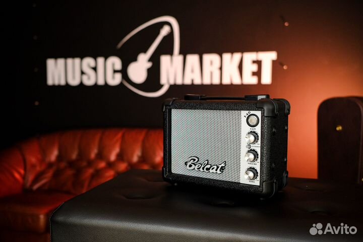 Гитарный комбоусилитель / Комбик (Комплект)