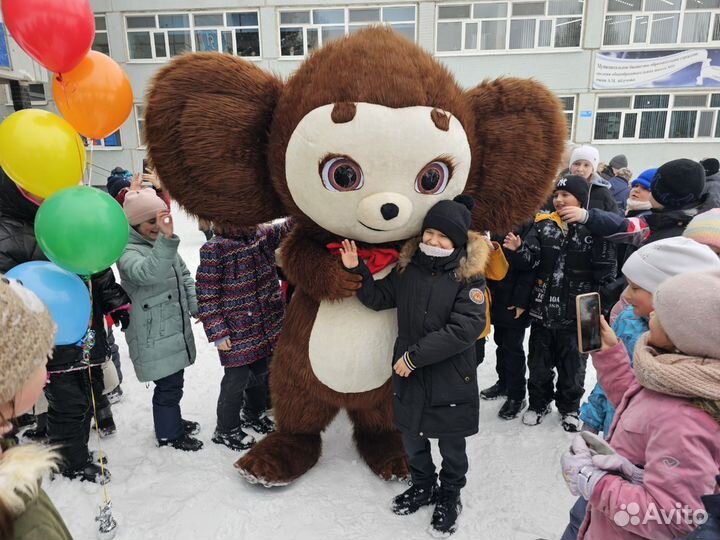 Белый Медведь Мишка Поздравление С Днем Рождения