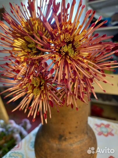 Цветы на срез