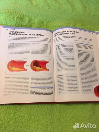 Лиза. Здоровое сердце. Семейная энциклопедия