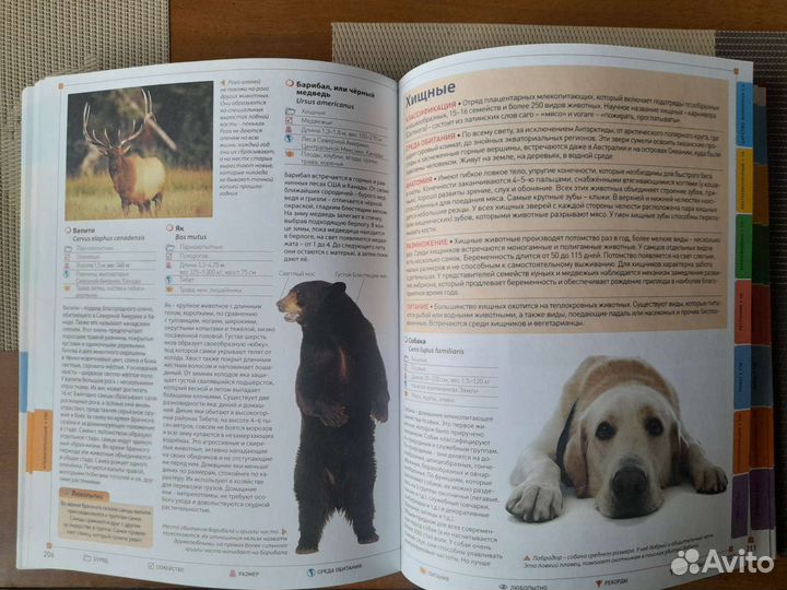 Энциклопедия животных