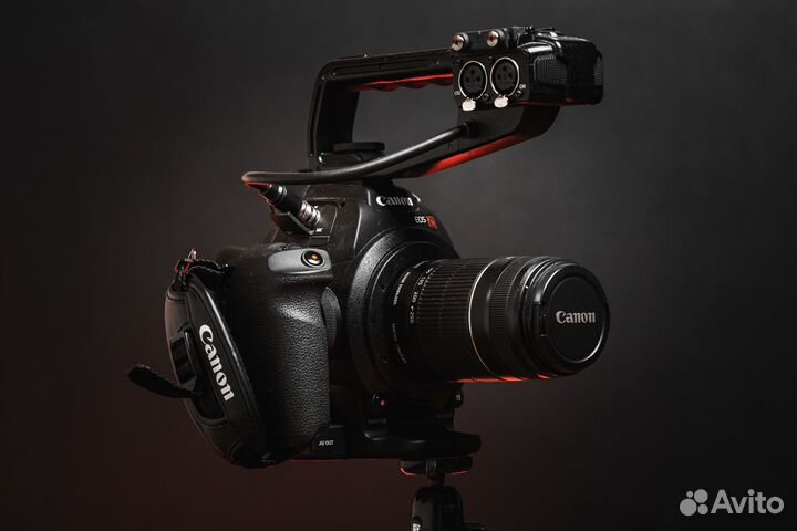 Canon c100
