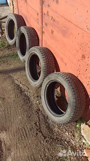 Dunlop SP Winter Maxx WM01 205/55 R16 94