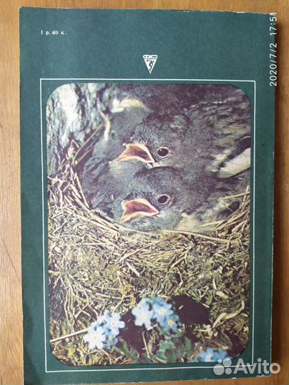 Охотничь просторы 32, 33, 35, 42, 43,44, 46