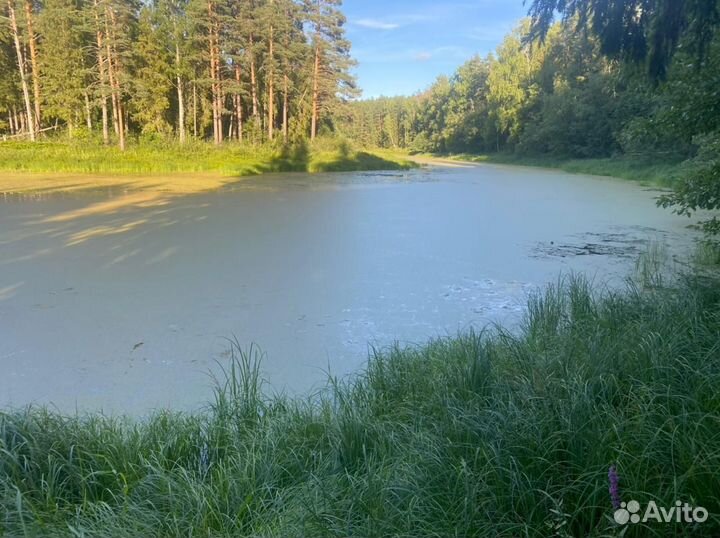 Плот в аренду