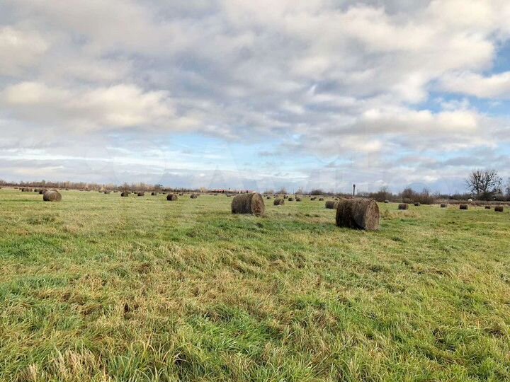 Участок 18 га (СНТ, ДНП)