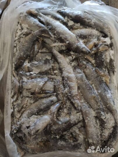 Рыба на корм животным