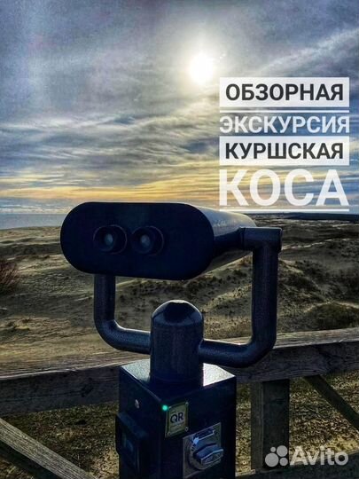 Тур Калининград - Куршская коса. Тайн дюн