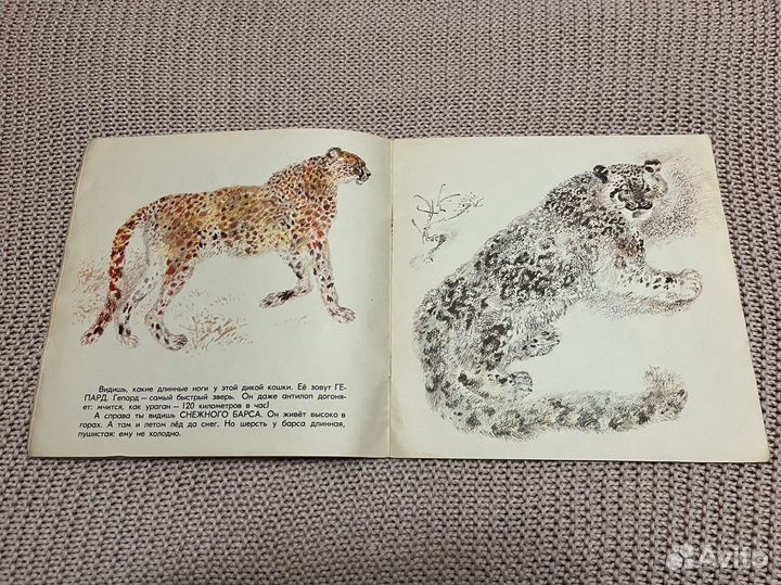 Разные звери. Акимушкин. Худ. Чарушин. 1973