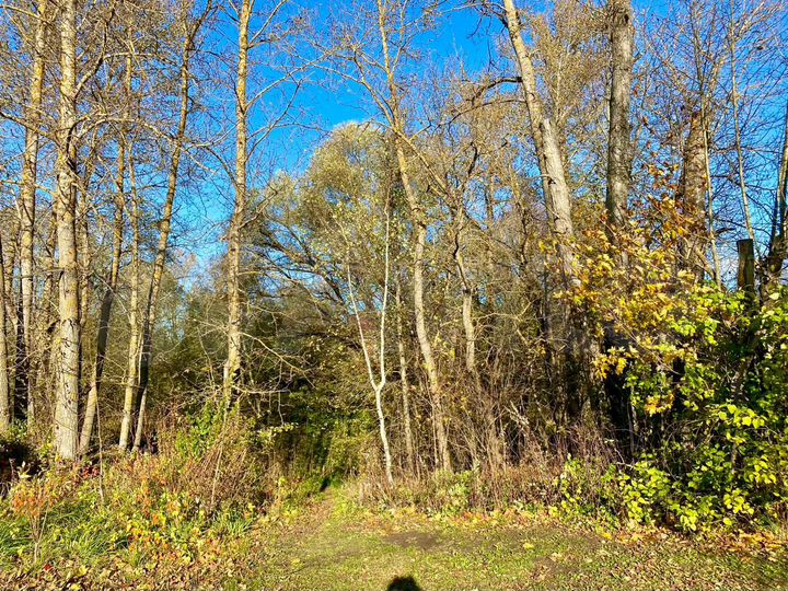 Участок 10 сот. (ИЖС)