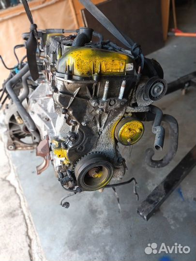 Двигатель Ford Focus 2 2.0 aoda