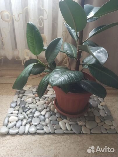 Коврик массажный из морской гальки