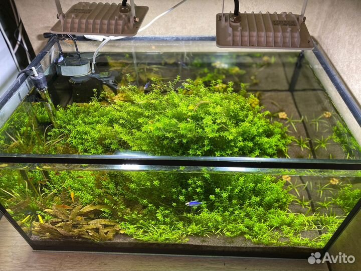 Аквариум 110 л