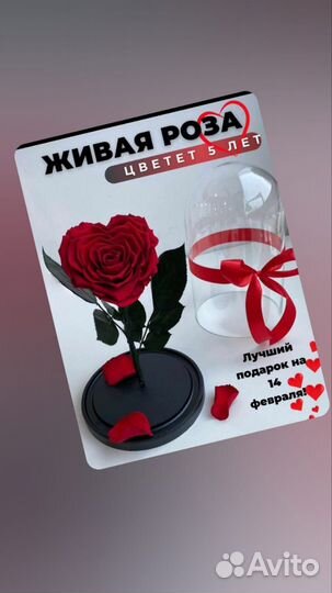 Подарок девушке на 8 марта