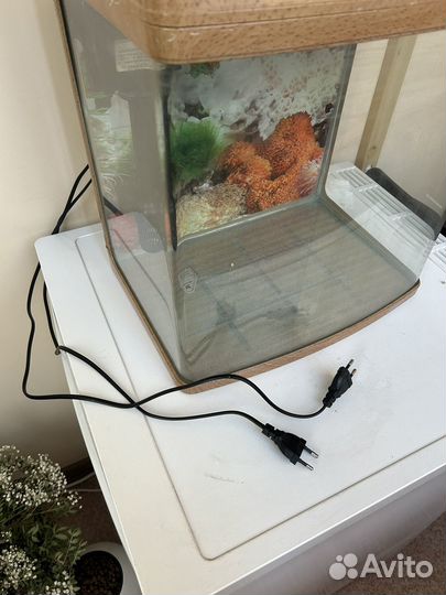Аквариум