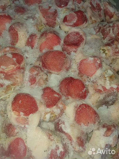 Корм для собак