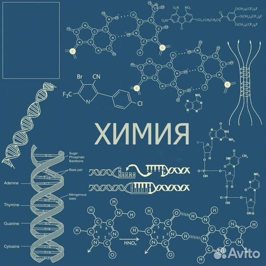 Услуги репетитора по химии, биологии, географии