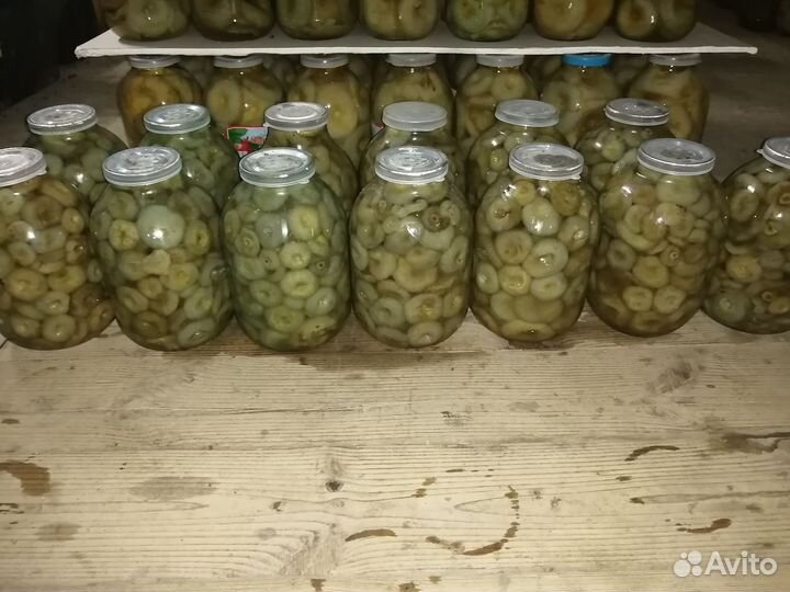 Грузди соленые