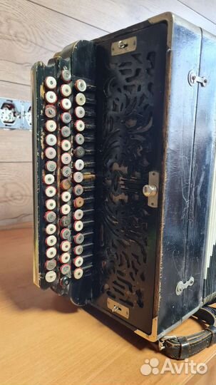 Баян тульский