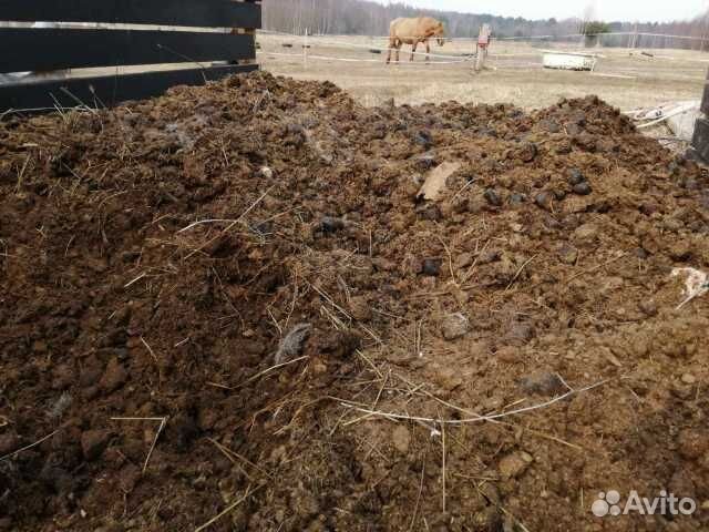 Навоз Конский для огорода. Доставка