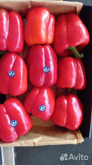 Овощи, фрукты и зелень