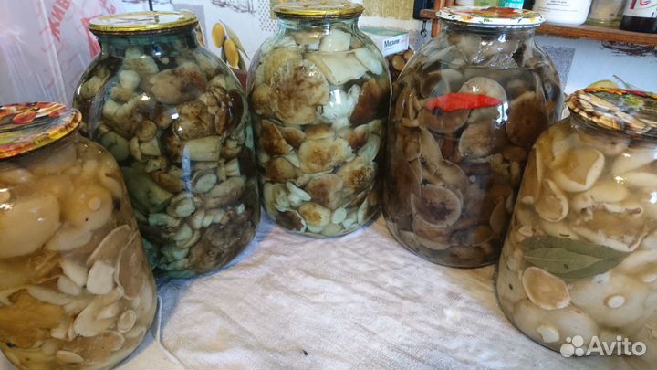 Грибы маринованные