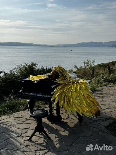 Крылья ангела золото