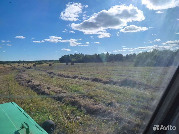 Сено разнотравье