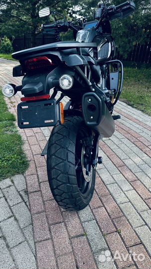 Harley davidson PAN america