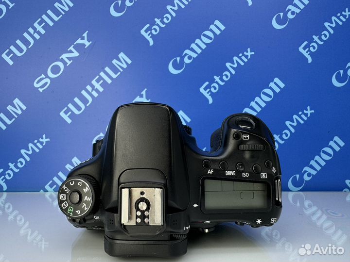 Canon 70d (5623)