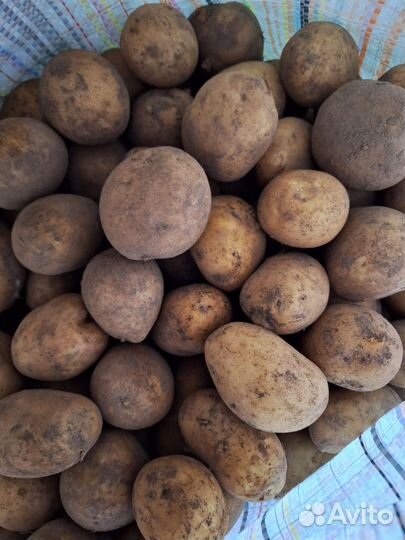 Продам картофель, возможна доставка