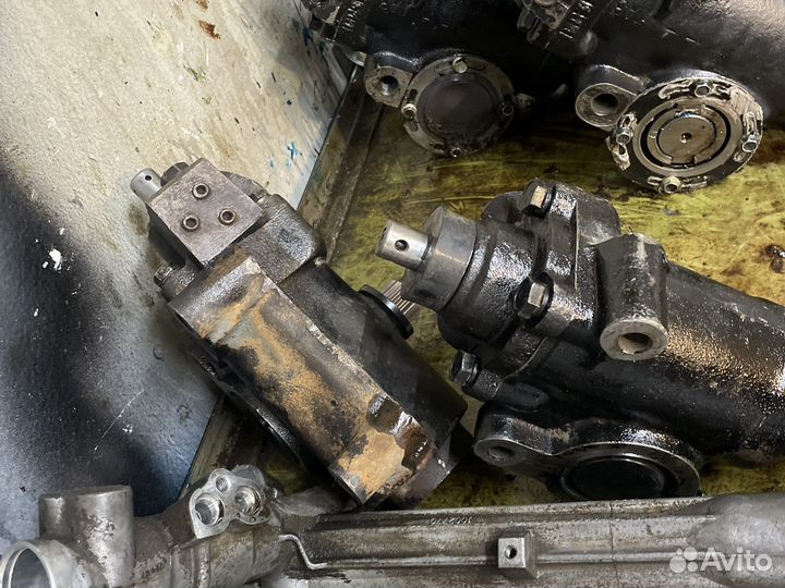 Гур на газель